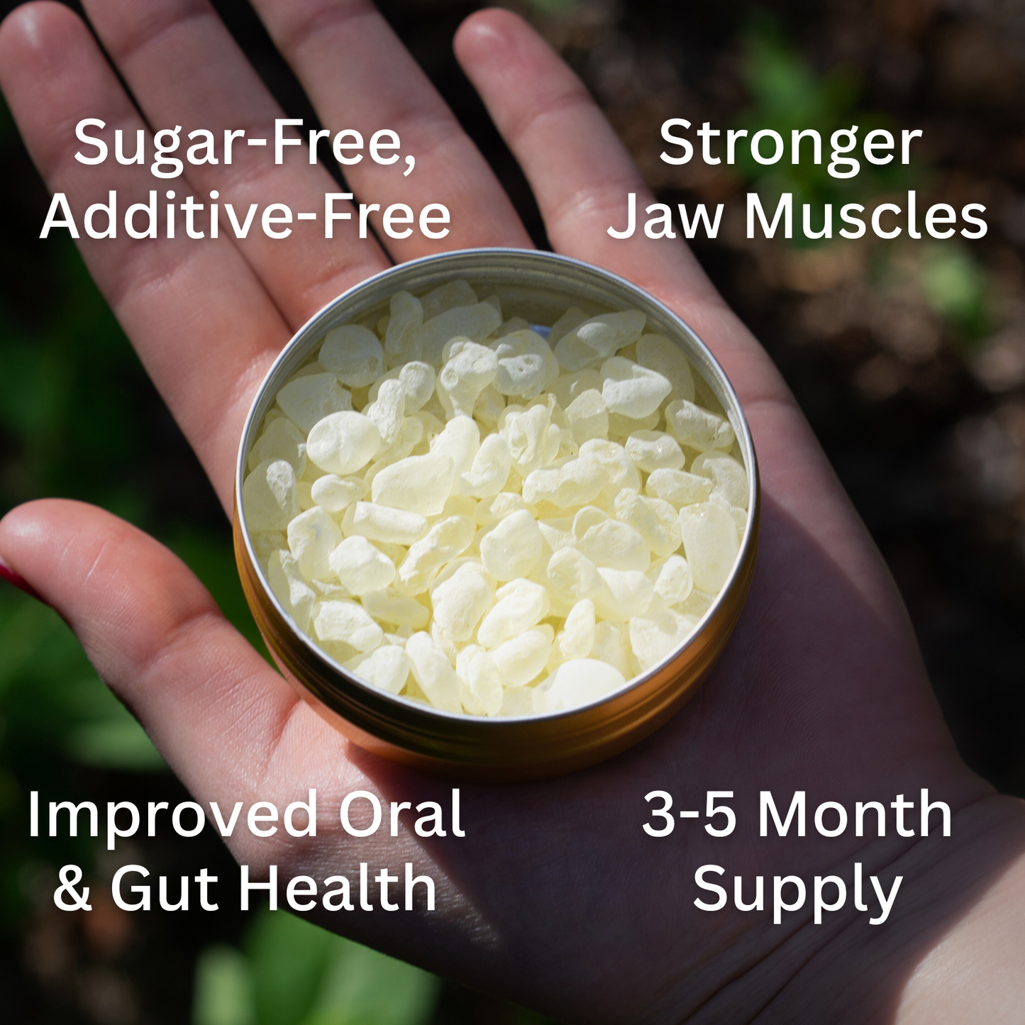 Hand holding a container of Mastic gum with health benefits text overlay