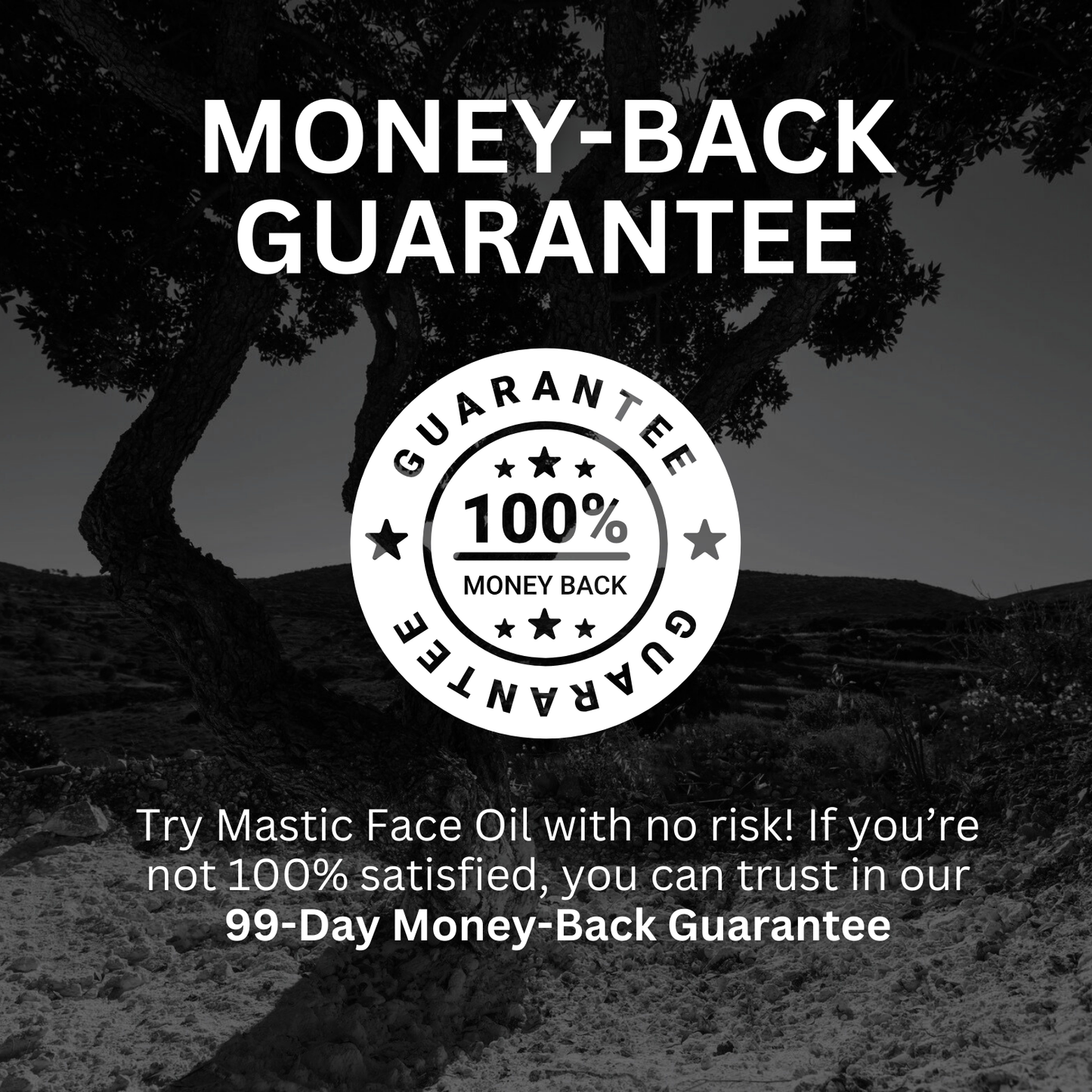 Black and white image with a tree and text about Mastic Face Oil's money-back guarantee.